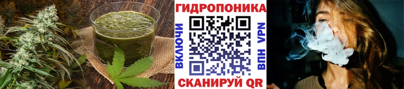 darknet телеграм Валдай Canna-Cookies марихуана